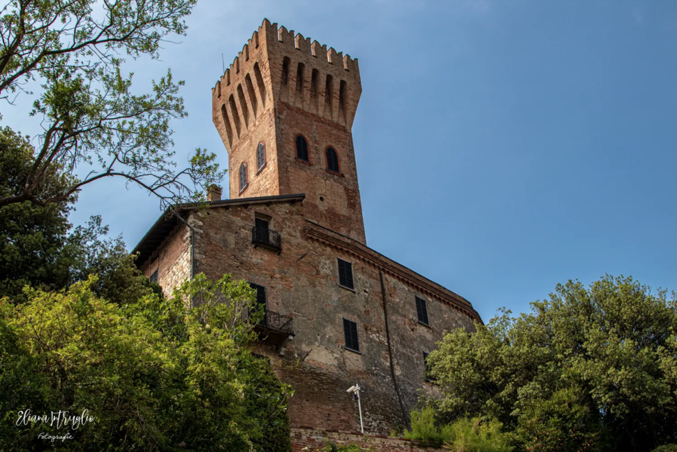 Castello Di Cigognola - Vivioltrepò