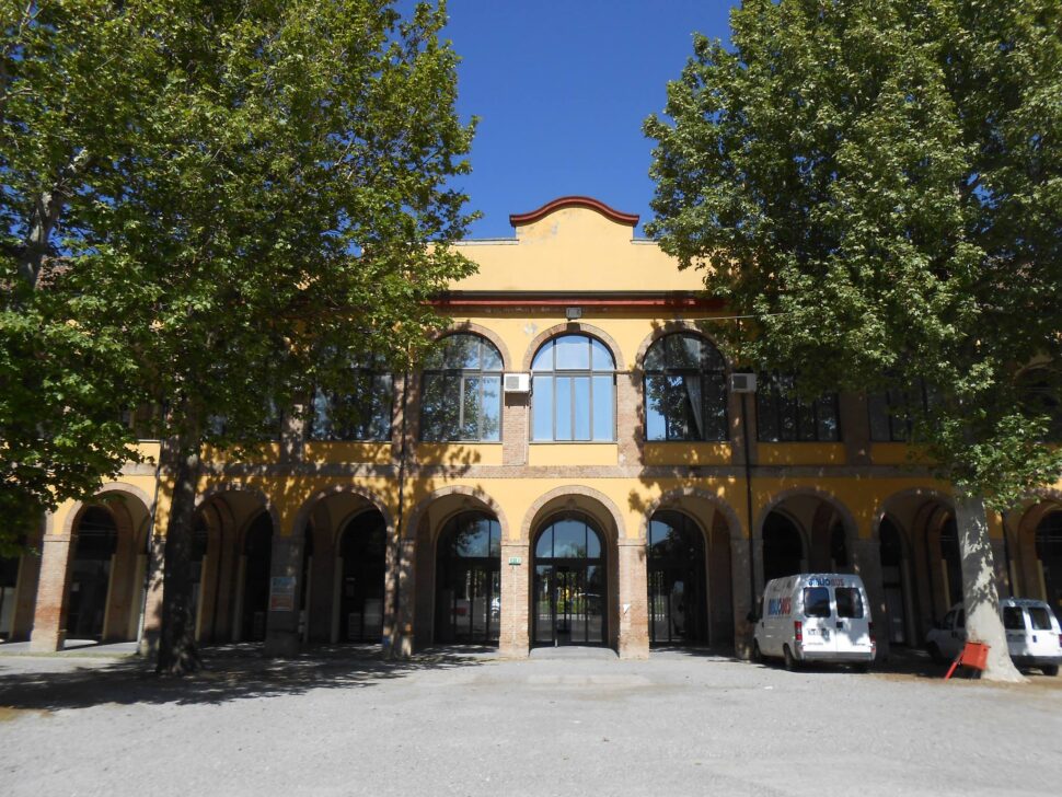 Civico Museo Di Scienze Naturali Giuseppe Orlandi Oltrepo Dei Musei - Vivioltrepò